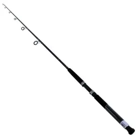 Beefstick BT Saltwater Boat Rod - Spinning, 6'6"