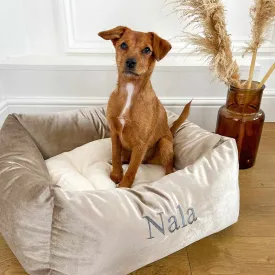 Box Bed For Dogs in Mushroom Velvet by Lords & Labradors