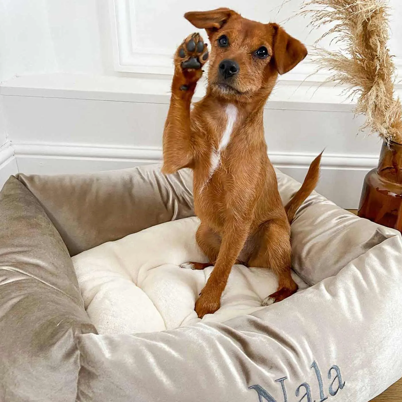 Box Bed For Dogs in Mushroom Velvet by Lords & Labradors