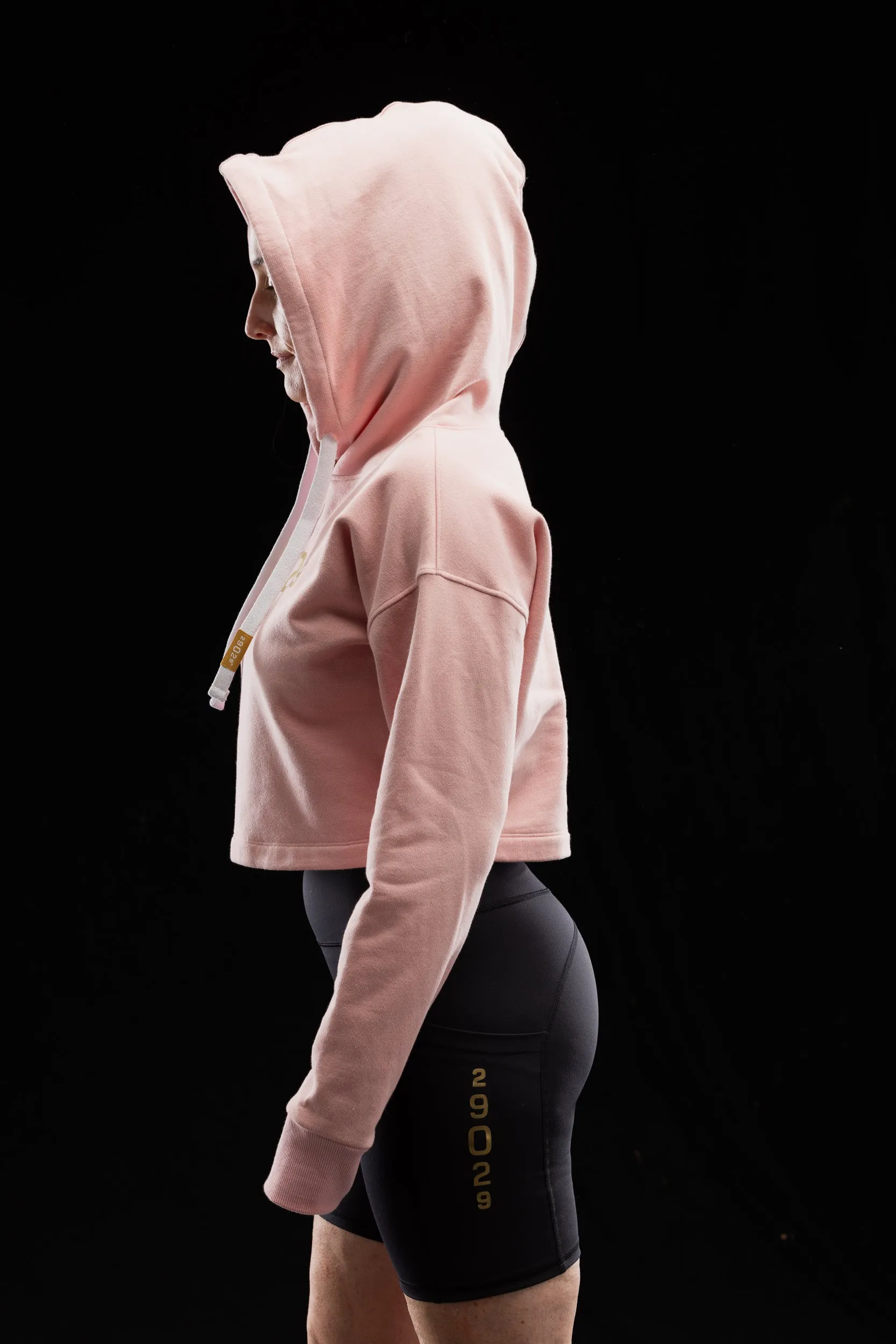 High Altitude Cropped Hoodie