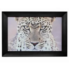 Leopard Portrait Wall Art 110x4x80cmh