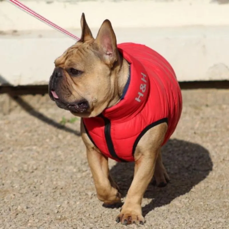 Red and Navy Dog Puffer Jacket